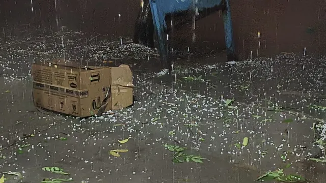 दिल्ली एनसीआर मौसम, दिल्ली बारिश खबर, रेवाड़ी ओलावृष्टि, NCR weather update, Delhi rain today, Rewari hailstorm news, Haryana weather news, Delhi NCR storm update, गेहूं सरसों फसल नुकसान, India weather news,Delhi NCR rain images, Rewari hailstorm photos, weather update Delhi today, NCR storm visuals, Haryana crop damage rain, India weather breaking news,#DelhiRain, #NCRWeather, #RewariHailstorm, #WeatherUpdate, #RainAlert, #HaryanaNews, #DelhiNCR, #StormUpdate, #IndiaWeather,