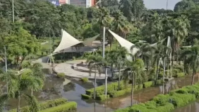 Lucknow Gomti River, लखनऊ गोमती नदी, गोमती नदी जलस्तर, गोमती का जलस्तर बढ़ा, लखनऊ रिवर फ्रंट बंद, गोमती रिवर फ्रंट बंद, लखनऊ में बाढ़, लखनऊ जलभराव, गोमती नदी का पानी, गोमती रिवर फ्रंट आज बंद, लखनऊ मौसम समाचार, लखनऊ बारिश, गोमती नदी अपडेट, लखनऊ सिटी न्यूज, उत्तर प्रदेश जलस्तर समाचार, सिंचाई विभाग लखनऊ, गोमती नदी का बढ़ता जलस्तर, रिवर फ्रंट पर पानी, लखनऊ पर्यटक, Lucknow Gomti River, Gomti River Water Level, Gomti River Water Level Rise, Lucknow River Front Closed, Gomti River Front Lucknow, Lucknow Flood News, Lucknow Waterlogging, Gomti River Latest Update, Gomti River Front Latest News, Lucknow Weather News, Gomti Water Level Today, Lucknow City News, Uttar Pradesh Water Level, Gomti River Flood Situation, Lucknow Irrigation Department, Gomti River Front Tourists,#Lucknow, #LucknowNews, #GomtiRiver, #GomtiRiverFront, #GomtiWaterLevel, #LucknowFlood, #LucknowRain, #RiverFront, #UttarPradesh, #UPNews, #LucknowCity, #WaterLevel, #लखनऊ, #गोमतीनदी, #गोमतीरिवरफ्रंट, #लखनऊन्यूज, #जलस्तर, #बाढ़, #उत्तरप्रदेश,