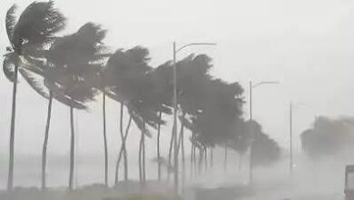 #UPWeatherUpdate, #UPWeather, #UttarPradeshWeather, #UPRainAlert, #WeatherForecast, #LucknowWeather, #उत्तरप्रदेशमौसम, #यूपीमौसमअपडेट, #यूपीमेंबारिश, #मौसमपूर्वानुमान, #हाथरस, #अलीगढ़, #लखनऊ, #किसानसमाचार, #धानकीफसल, #गन्नेकीफसल, #बेमौसमबारिश, #कृषिसमाचार, #WeatherNews, #PaddyCrop, #SugarcaneCrop,यूपी में बारिश कब होगी, 15 अक्टूबर 2026 यूपी मौसम, यूपी मौसम विभाग की ताजा खबर, लखनऊ में बारिश का पूर्वानुमान, पश्चिमी यूपी में बारिश कब होगी, पूर्वांचल में बारिश की संभावना, उत्तर प्रदेश में पश्चिमी विक्षोभ, हाथरस किसान की मौत की खबर, अलीगढ़ में बारिश से धान खराब, यूपी में गन्ने की फसल पर बारिश का असर, UP weather forecast 15 October 2026, Will it rain in Uttar Pradesh after October 15, UP rain alert latest news, Uttar Pradesh weather forecast October 2026, Paddy crop damage due to rain in UP,UP Weather Update, Uttar Pradesh Weather News, UP Rain Forecast October 2026, UP Weather After October 15, Uttar Pradesh Rain Alert, Western Disturbance Uttar Pradesh, Lucknow Weather Forecast, Western UP Rain Forecast, Eastern UP Weather Update, Awadh Weather News, Hathras Farmer Death, Aligarh Farmer Death, Lightning Incident Hathras, Aligarh Paddy Market, Paddy Crop Damage UP, Sugarcane Crop Damage Uttar Pradesh, Unseasonal Rain in UP, UP Agriculture News, India Meteorological Department UP Forecast, October Weather Update Uttar Pradesh,