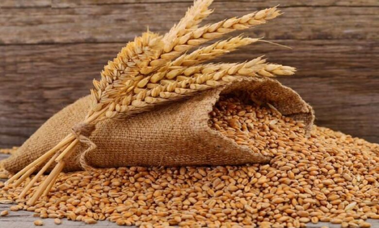 गेहूं MSP बढ़ा, Wheat MSP Hike 2026, गेहूं समर्थन मूल्य 2026, Urai Wheat Procurement News, UP Rabi MSP News, गेहूं खरीद केंद्र उत्तर प्रदेश, Wheat Procurement Uttar Pradesh, MSP News Hindi, Farmer News UP, Rabi Crop MSP Update,गेहूं खरीद 2026, Wheat Procurement Centre UP, किसान गेहूं MSP, Farmer Wheat MSP Image, गेहूं समर्थन मूल्य फोटो, Wheat MSP Farmer India,#गेहूंMSP, #WheatMSP2026, #किसानखबर, #UraiNews, #UPAgriculture, #RabiMSP, #FarmerNewsIndia, #GovindUpadhyay, #WheatProcurementUP,