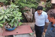 लखनऊ समाचार, लखनऊ नगर निगम, नाला सफाई अभियान, जोन 7 लखनऊ, अपर नगर आयुक्त अभिनव रंजन श्रीवास्तव, मानसून तैयारी, जलभराव रोकथाम, इंदिरा नगर नाला सफाई, इस्माईलगंज समाचार, फैजाबाद रोड लखनऊ, नगर निगम निरीक्षण, लखनऊ नागरिक सुविधाएं, उत्तर प्रदेश शहरी विकास, लखनऊ प्रशासन, स्थानीय समाचार लखनऊ,Lucknow News, Lucknow Municipal Corporation, Drain Cleaning Drive, Zone 7 Lucknow, Additional Municipal Commissioner Abhinav Ranjan Srivastava, Monsoon Preparedness, Waterlogging Prevention, Indira Nagar Drain Cleaning, Ismailganj News, Faizabad Road Lucknow, Municipal Inspection, Urban Development UP, Civic Administration Lucknow, Local News Uttar Pradesh,अभिनव रंजन श्रीवास्तव, नाला सफाई निरीक्षण, लखनऊ नगर निगम, जोन 7 निरीक्षण, इंदिरा नगर नाला सफाई, मानसून तैयारी, जल निकासी व्यवस्था, नगर निगम अधिकारी, फैजाबाद रोड, लखनऊ विकास,Abhinav Ranjan Srivastava, Drain Cleaning Inspection, Lucknow Municipal Corporation, Zone 7 Inspection, Indira Nagar Lucknow, Monsoon Preparation, Drainage System, Municipal Officials, Faizabad Road, Lucknow Development,Lucknow Drain Cleaning News, Lucknow Municipal Corporation Update, Monsoon Preparation Lucknow, Waterlogging Prevention News, Zone 7 Drain Cleaning, Abhinav Ranjan Srivastava Inspection, Indira Nagar News, Lucknow Civic News, Uttar Pradesh Local News, Municipal Corporation Action,#LucknowNews, #LucknowMunicipalCorporation, #DrainCleaning, #MonsoonPreparedness, #AbhinavRanjanSrivastava, #IndiraNagar, #FaizabadRoad, #Waterlogging, #UrbanDevelopment, #UPNews, #LocalNews, #CivicAdministration, #LucknowUpdates, #MunicipalCorporation, #SmartCityLucknow,